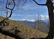 MONTE ZUCCO ad anello via linea tagliafuoco dalla Pernice (20apr21) - FOTOGALLERY